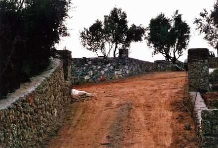 Tonis Maniatis